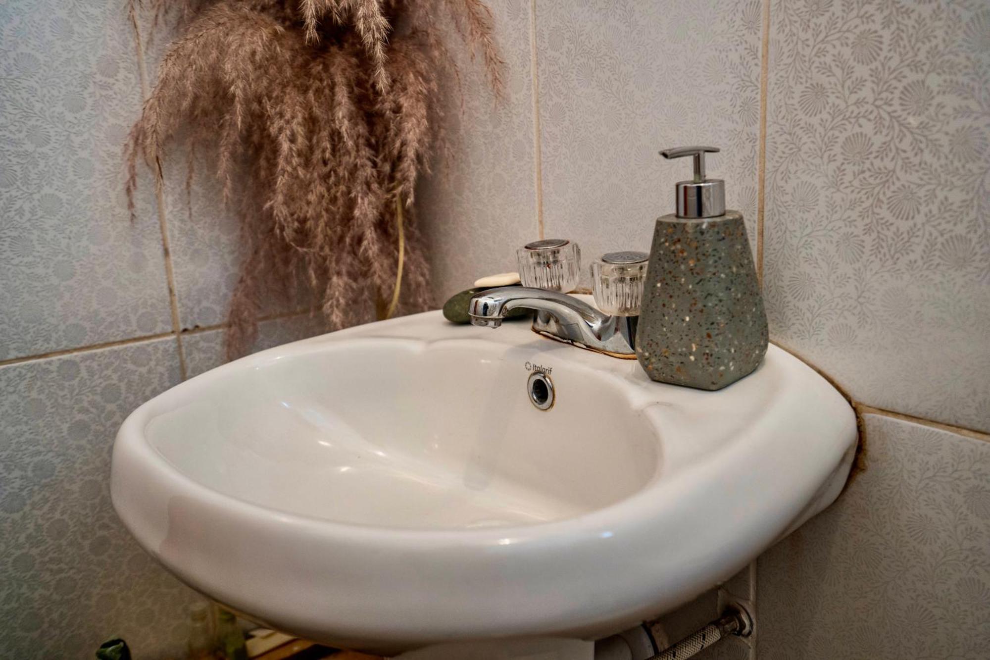 ピサック Blue Lotus Retreat Center Bed & Breakfast エクステリア 写真