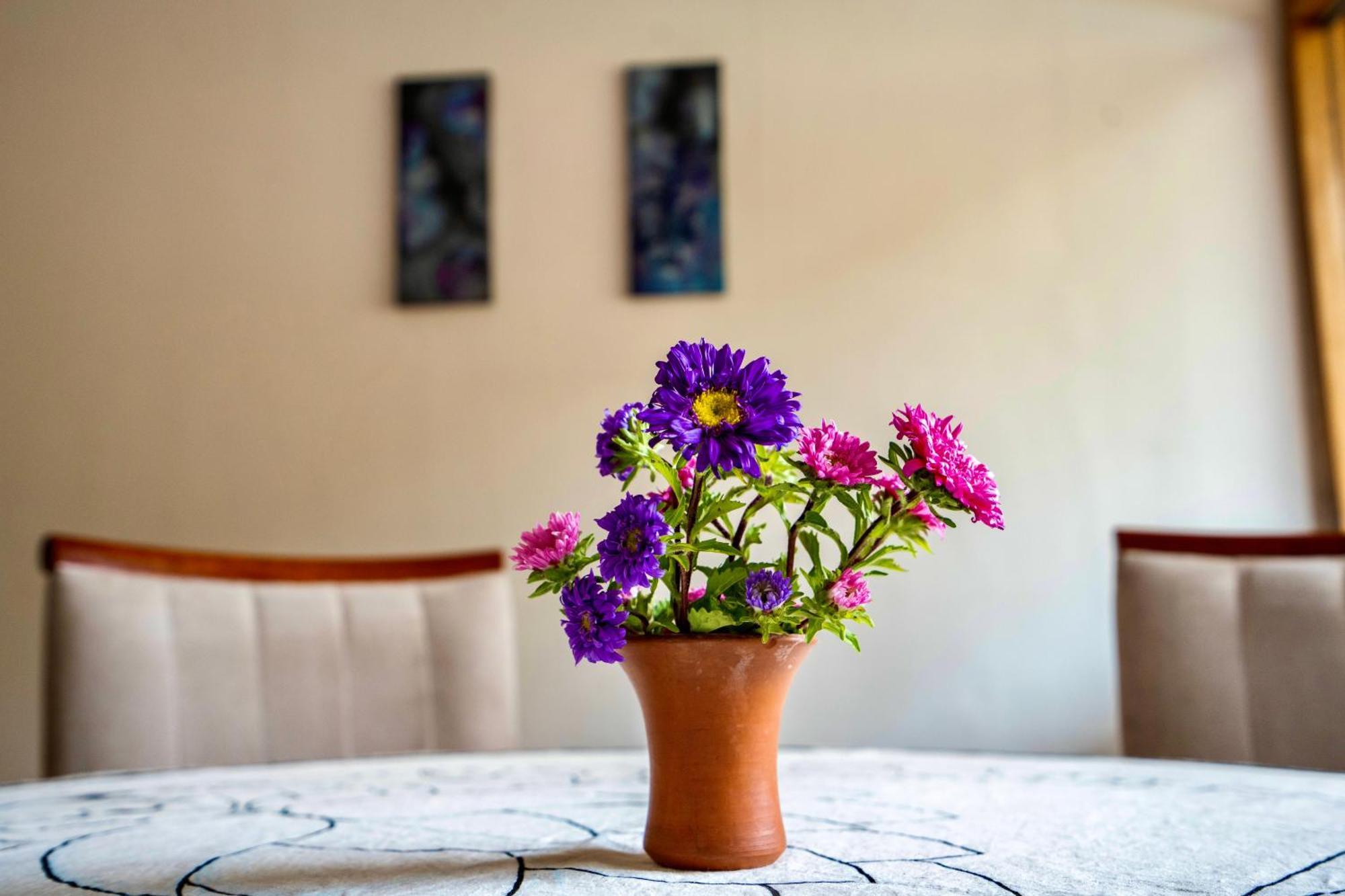ピサック Blue Lotus Retreat Center Bed & Breakfast エクステリア 写真